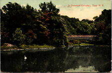 Vtg 1908 View in Oakwood Cemetery Lake Bridge Troy New York NY Postcard picture