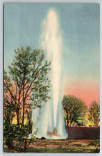 1960 Largest Artesian Well Oasis Ranch Roswell NM Vintage Postcard picture