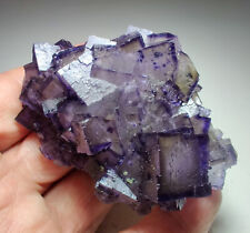 Fluorite crystals, purple/yellow zoned. Hardin County, Illinois. 218 gr. Video. picture