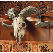 Exotic Animal Replica Ram Skull Curled Horns Wall Mounted Trophy Wall Sculpture picture