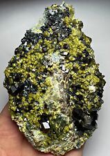 363 GM Exquisite Garnet / Epidote / Diopside Crystals Bunch on Matrix @AFG picture