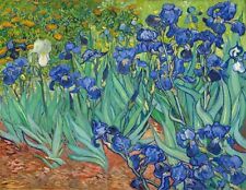 Van Gogh Irises Die Cut Glossy Fridge Magnet picture