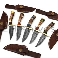 LOT OF 5 PCS CUSTOM FORGED DAMASCUS STEEL HUNTING SKINNER  EDC KNIFE STAG/ANTLER picture