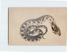 Postcard Photo of a Snake picture
