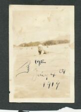 July 4th 1919  Camping at Haleiwa, & Haleiwa beach Hawaii 2 small Photos  picture