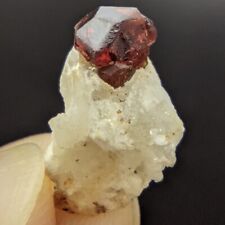 Natural Very Small Thumbnail Size Red Spessartine Garnet Matrix On Albite, 8 cts picture
