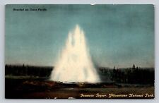 c1910 Fountain Geyser Union Pacific Yellowstone Park P833 picture
