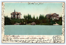 1901 View of Two Houses Near The River Hungary Antique Posted Postcard picture