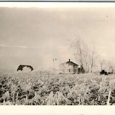c1920s-40s Scenic Winter Frost Farm Photo Farm Homestead Foursquare House C48 picture