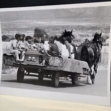 Vintage Horse Drawn Funeral Procession Photo, 8”x10” Photograph picture