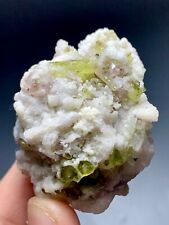 244 CT Tourmaline Crystals Combine Albite Matrix On Lepidolite From Afghanistan picture