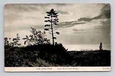Postcard Lone Pine Tree Lake Michigan Posted Gary Indiana, Antique L14 picture