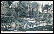 THORNHILL Ontario Postcard 1910s Mineral Springs Park picture