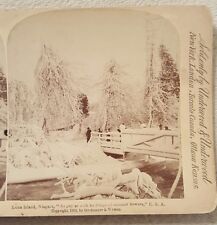 1893 Strohmeyer & Wyman Stereoview Card Luna Island Niagara USA Underwood picture