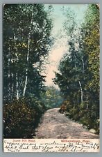 Stone Hill Road Williamstown Mass Undivided Back Vintage Postcard c1907 picture