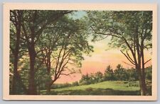 Postcard Colorful Sunset through the Trees Vintage picture