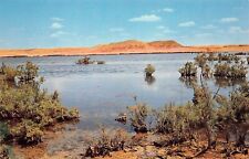 El Golea Algeria Sebkha of Oran Salt Lake Misserghin Vtg Postcard C54 picture