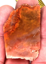 Volcanic Petrified Wood Limb Cast Polished Jasper Agate Vivid Color Quartz picture