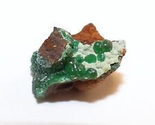 Minerals Collection - Micromount / Micro Mineral - Cupro Adamite - Mexico picture