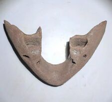 From the Ice Age Jawbone fossil mammal fossils specimen china Tooth fossils picture