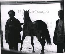 1970 Press Photo Horse Auctions Northfield picture