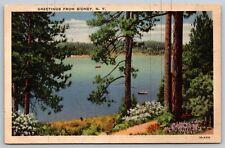 Greetings from Sidney NY Scenic View Linen Old Vtg Postcard 1930s Posted Sidney  picture