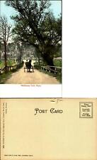 Middlesex Fells Massachusetts MA horse and buggy UDB undivided back unused picture