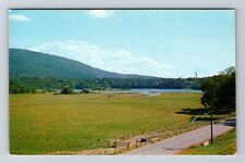 Battleboro VT-Vermont Retreat Meadows Wantastiquet Mountain Vintage Postcard picture