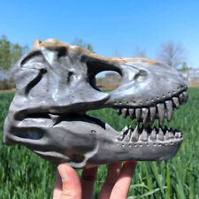 3.4LB Carved Natural Picture stone Dinosaur Skull Crystal quartz Skull  heal picture