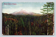 DB Postcard Mount Adams OR Oregon Scenic Panorama View picture