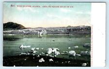 MUIR GLACIER, AK Alaska ~ 354 Square Miles of ICE~ c1900s Selige Co.Postcard picture