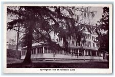 c1910's Springside Inn On Owasco Lake Scene Auburn New York NY Unposted Postcard picture