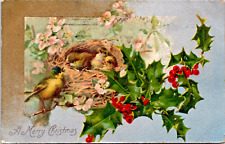 c1905 Christmas, baby birds, holly berries, undivided back, antique card, nice picture
