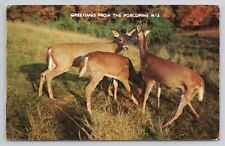 Postcard Greetings From The Porcupine Mountains Little Deer Send Greetings picture