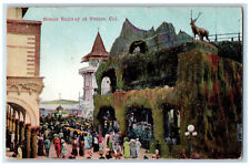 1911 Scenic Railway At Venice Los Angeles California CA Antique Postcard picture