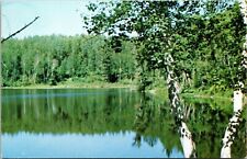 Thousands Clear Water Lake Grand Rapids Minnesota MN Postcard VTG UNP Vintage picture