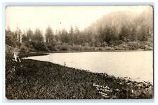Early Beaver Lake Forks WA Washington Postcard (BG7) picture