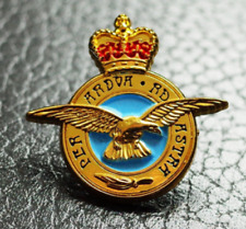 RAF Royal Air Force limited edition Pin Badge UK Veteran 2024 REMEMBRANCE pin picture