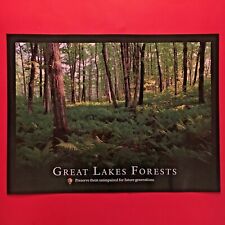 (2) two-sided NATIONAL PARK SERVICE posters--GREAT LAKES FORESTS--conservation  picture