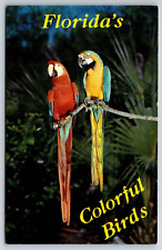 Postcard Florida FL Colorful Birds Macaws Chrome Unposted 1950s Era picture