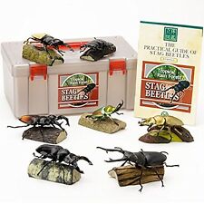 Stag Beetle PVC figure Set 7 kinds of Beetles In Box Colorata  picture