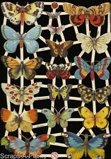 German Embossed Vintage Style Scrap Die Cut - Colorful Butterfly Moth  EF7297 picture