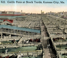 Vintage Postcard 1912 Kansas City MO Cattle Pens Stock Yards Cows Skyline-B2-83 picture