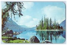 c1960 State Park Picnic Facilities Lake Wenatchee Washington WA Vintage Postcard picture