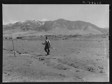 Gallatin Valley,Montana,MT,Farm Security Administration,Arthur Rothstein,FSA,1 picture