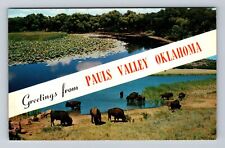 Pauls Valley OK-Oklahoma, Scenic Banner Greetings, Buffalo Herd Vintage Postcard picture