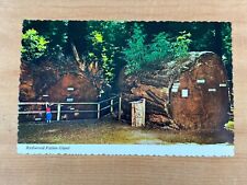 Vintage Postcard, California Redwoods, Richardson Grove State Park, Marin County picture
