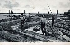 WASHINGTON WA - Loggers On Puget Sound Postcard - 1907 picture