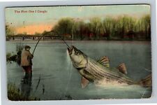The First One I Caught, Man Catching Giant Fish, c1913 Vintage Postcard picture