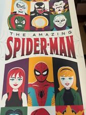 The Amazing Spider-Man Poster Grey Matter Fine Art Print Marvel 11